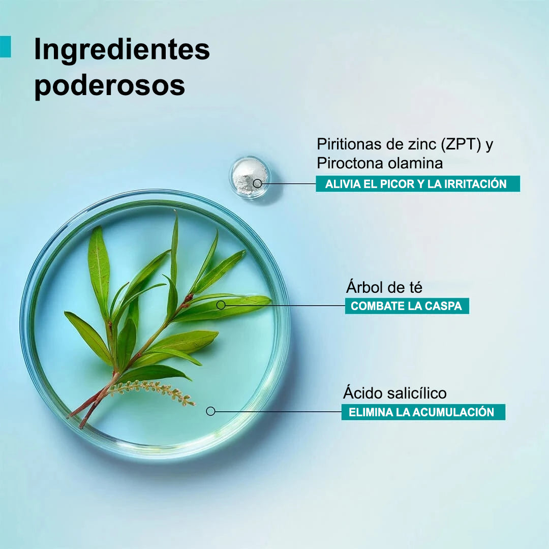 Shampoo anticaspa I Reduce la caspa desde el primer lavado